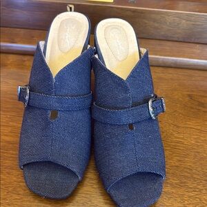 Blue Denim Clogs with Wedge Heel